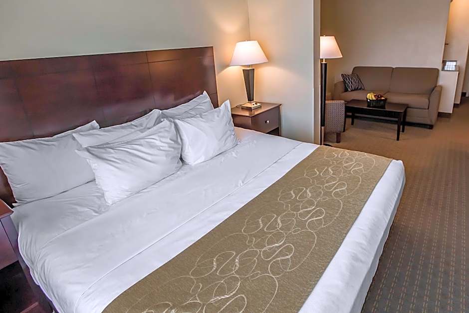 Comfort Suites University Area