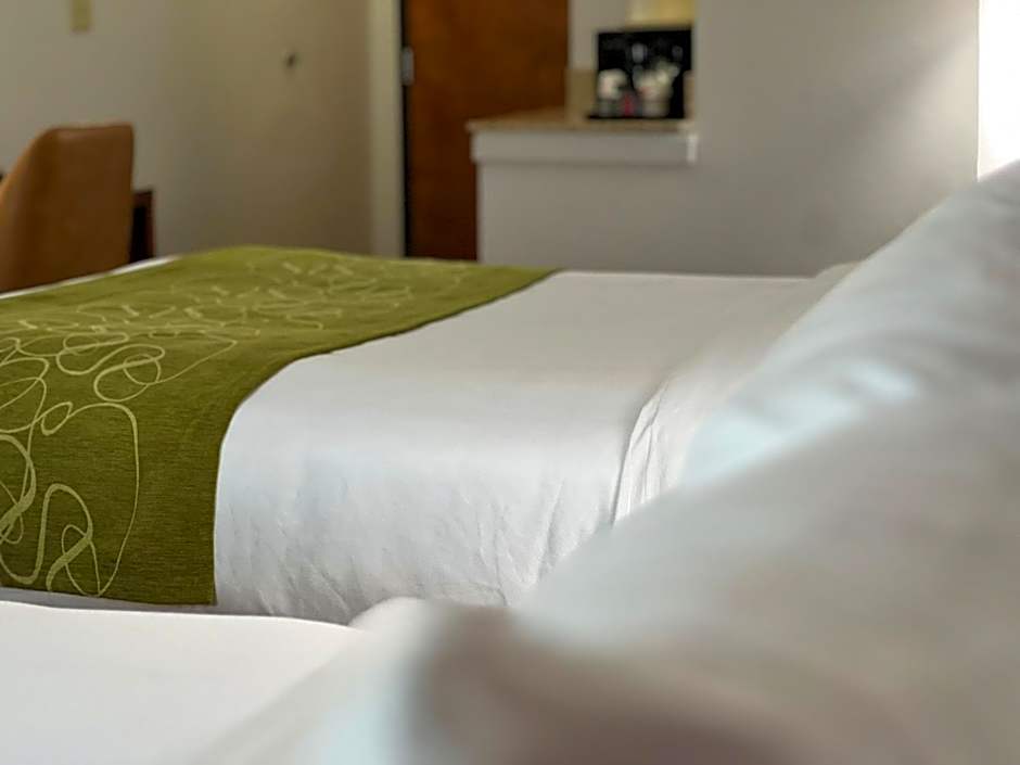 Comfort Suites Louisville East