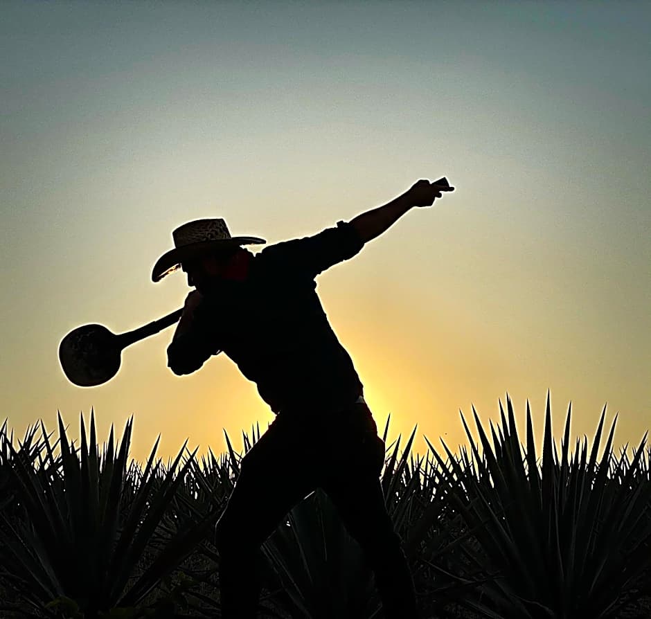 Matices Hotel de Barricas