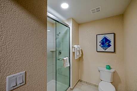 1 King Bed Studio Suite