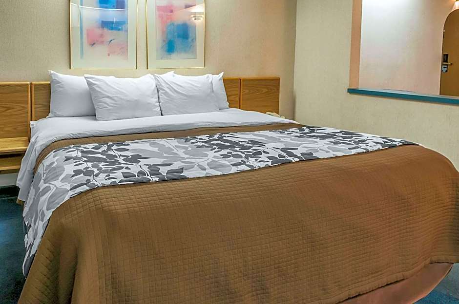Photo 1 of 4 of 1 King Bed Suite, Nonsmoking