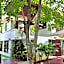 Casa Khaoyai Bed&Breakfast