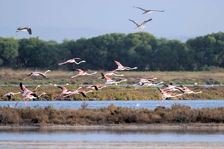 Sa Pedrera Country Hotel
