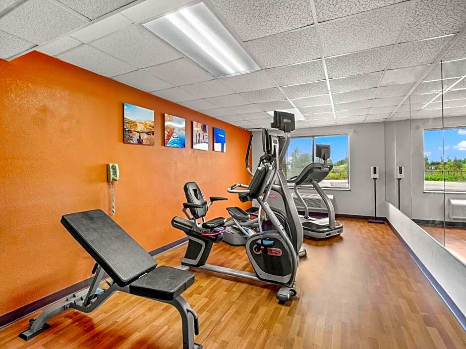 Comfort Inn Metro Airport Romulus