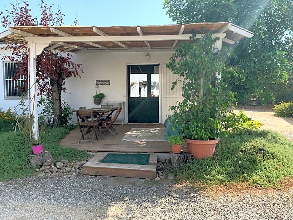 AGRIB&B Il Pomo d'oro