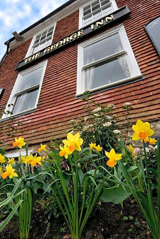 The George Inn