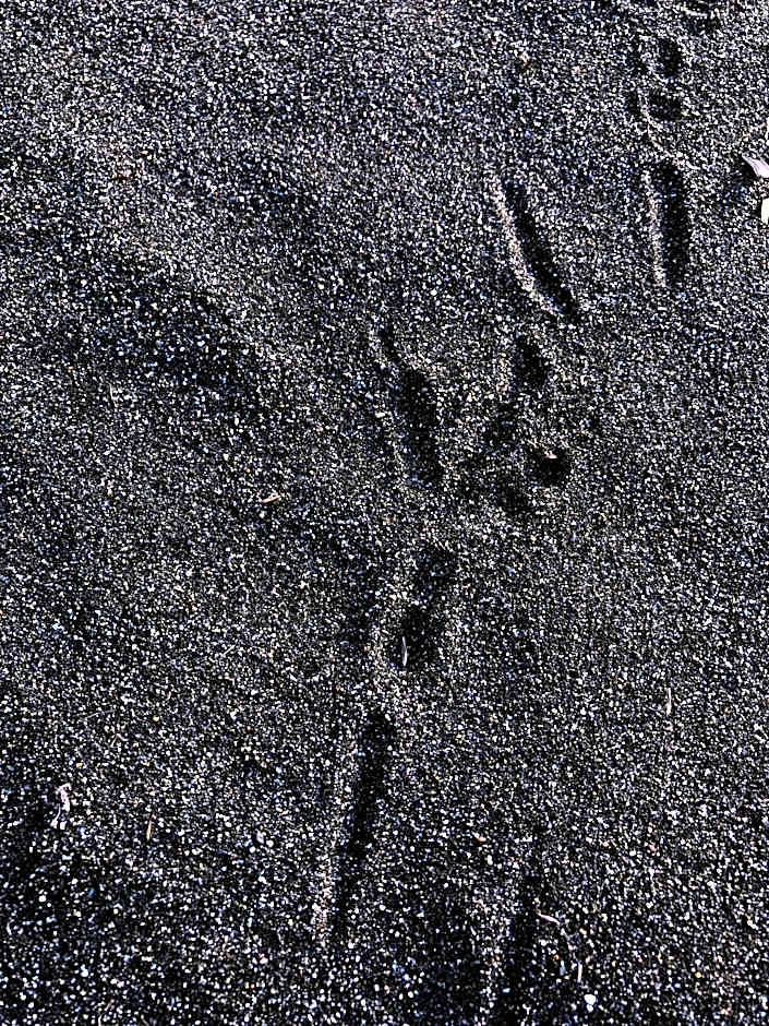 Simple Pleasures Shekvetili Hotel