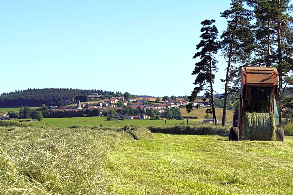 Auberge des Myrtilles