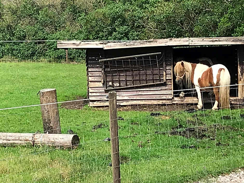 Familiehuis Boysen Appartementen