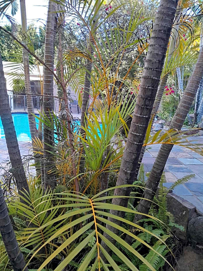 See More Guest House