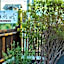 Han-Shian Boutique B&B