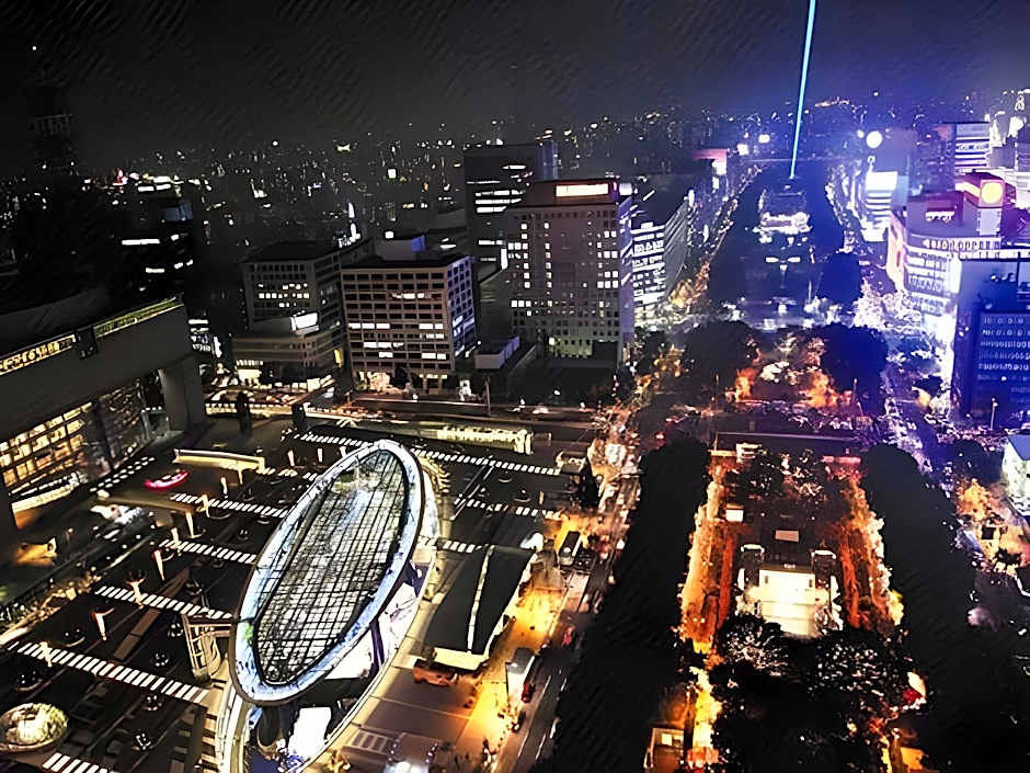 Tokyo Daiichi Hotel Nishiki