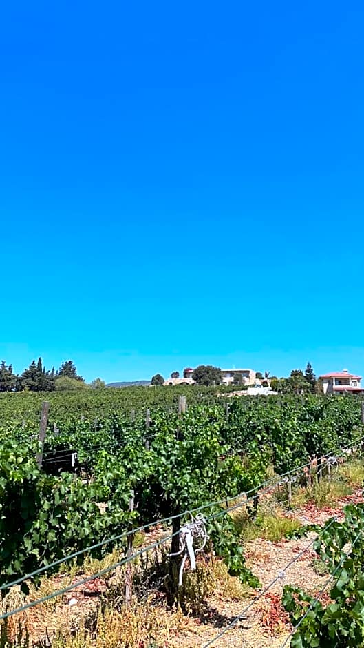 Datça Vineyard Guesthouse - Over 14 years old only