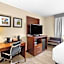 Comfort Suites Grayslake Near Libertyville North