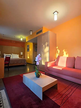Double Room with Terrace
