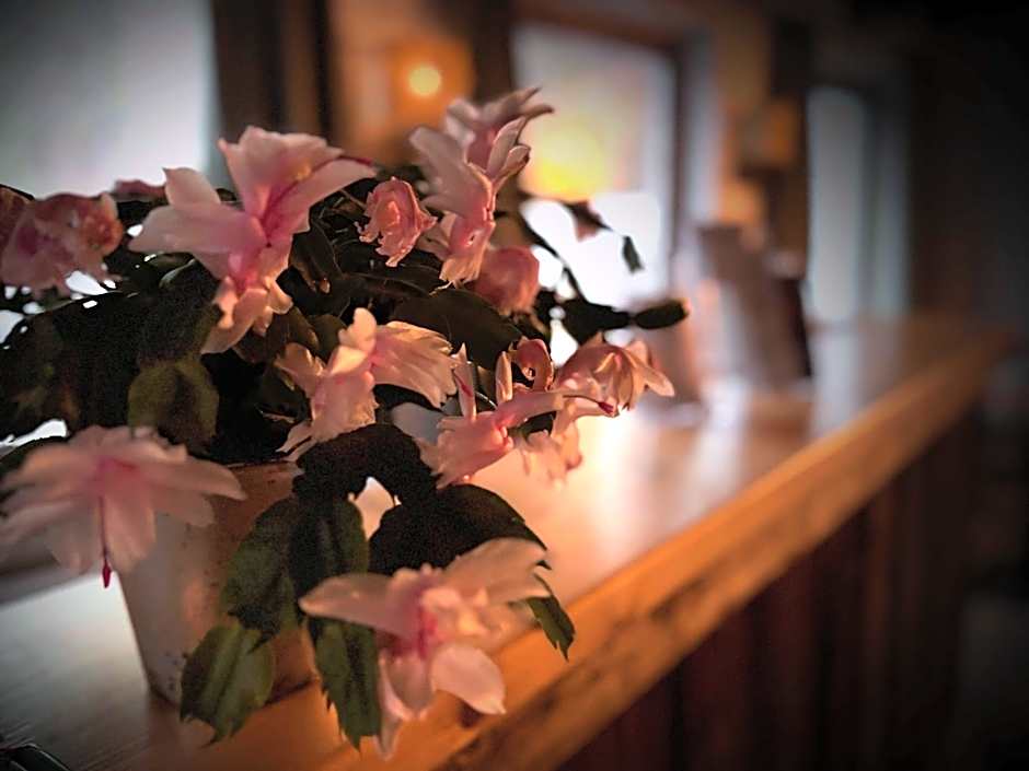 Pension Almhof Baumgarten