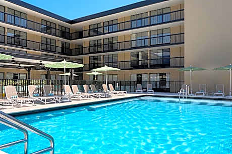 The Harrison Hotel Downtown Hollywood