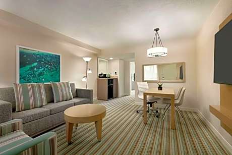 One-Bedroom King Suite - Top Floor