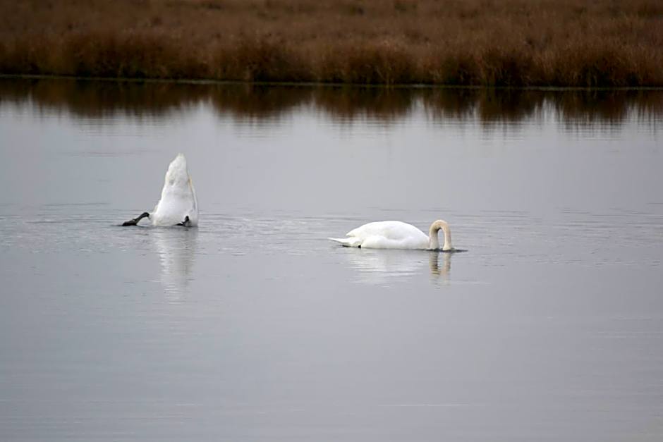 Auberge De Moerse Hoeve