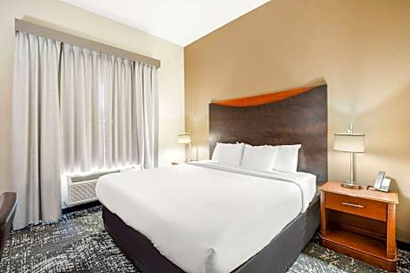 Executive Suite - King Bed