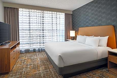 1King 1 Bdrm Ste Hearing Accessible No Smok