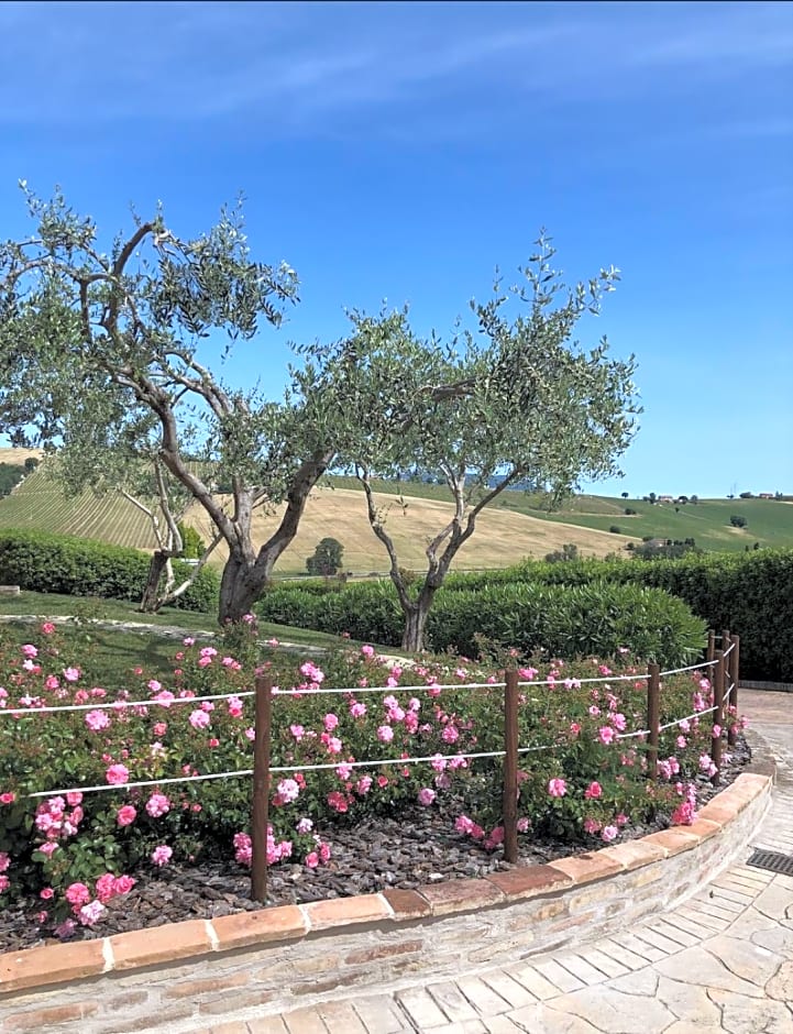 B&B Casa Fanny Riviera Del Conero