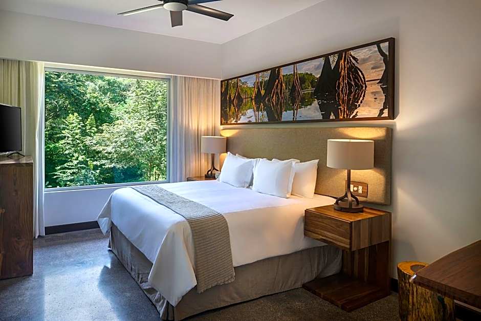 El Mangroove, Autograph Collection by Marriott