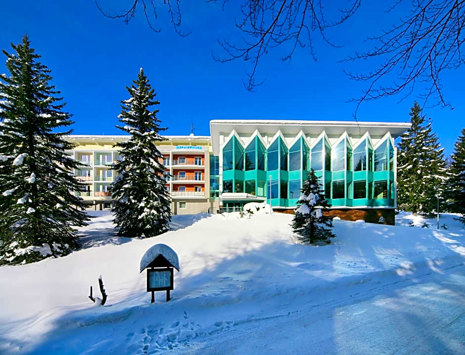 Interhotel Montana