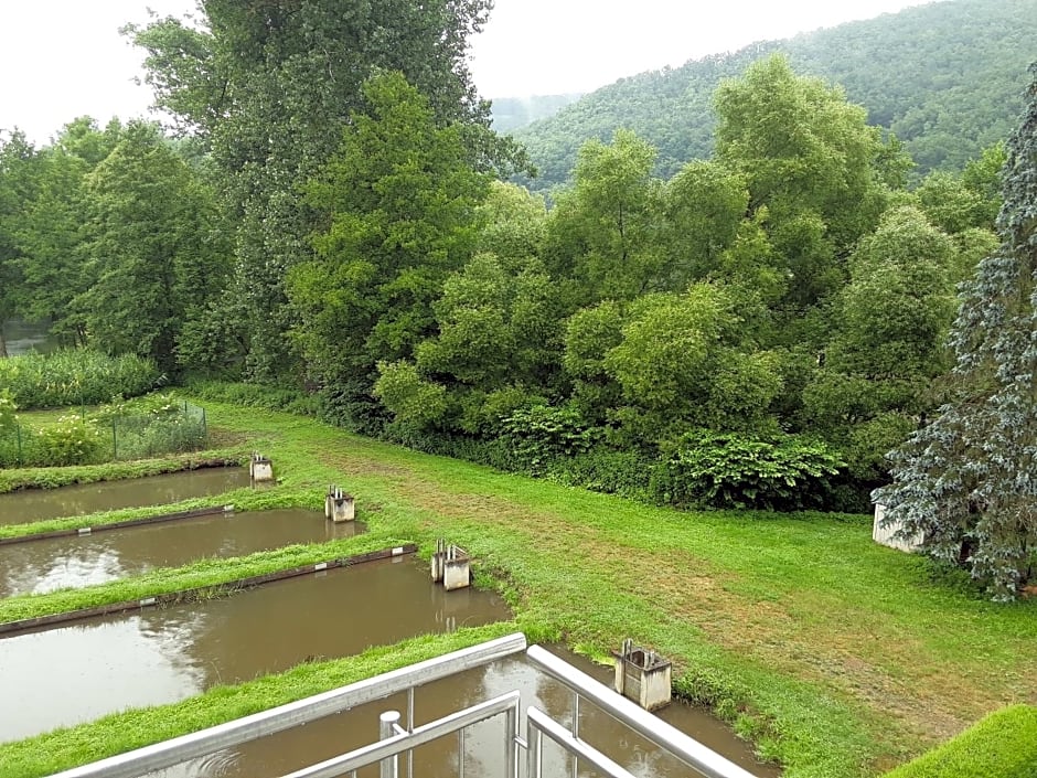 Zimmer ohne Frühstück in der Forellenzucht