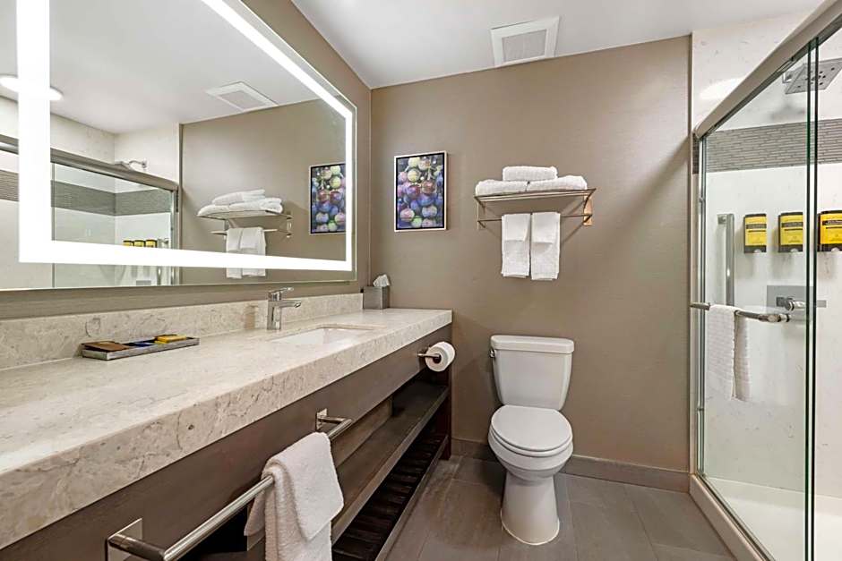 Best Western Plus Temecula Wine Country Hotel & Suites