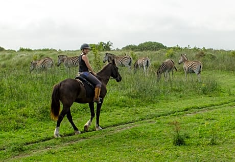 Lodge Afrique