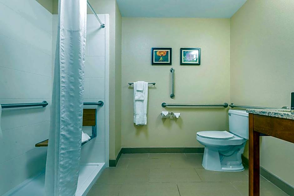 Comfort Inn & Suites Lenoir Hwy 321 Northern Foothills