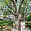 1560- Domaine Des Cinq Jardins- A Magical and Authentic Mansion
