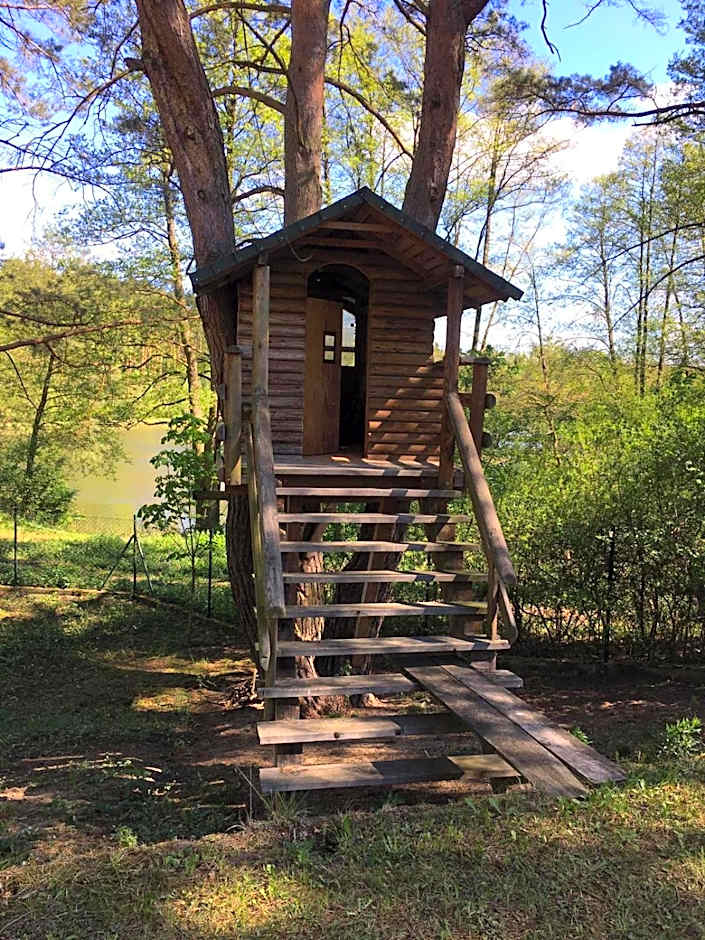 Domek z bali Tryszczyn nad Brdą