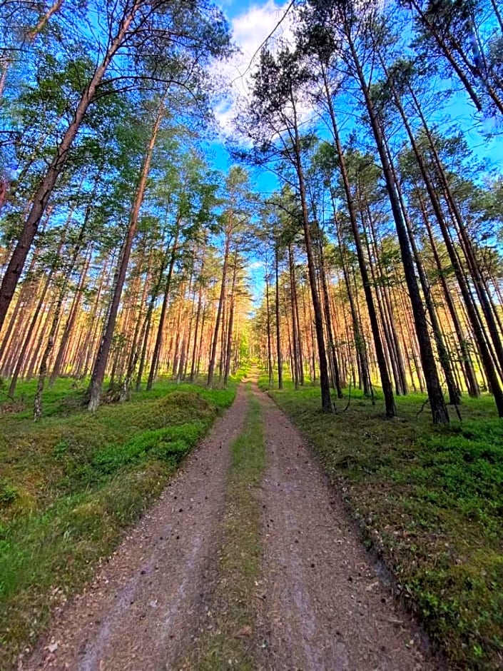 Domek z basenem nad jeziorem Gwiazdy, Ostoja Bukowo, Kaszuby