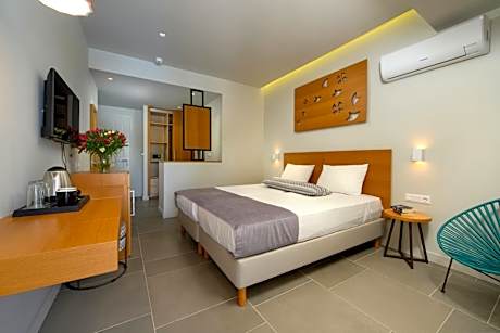 Deluxe Double or Twin Room with Pool View