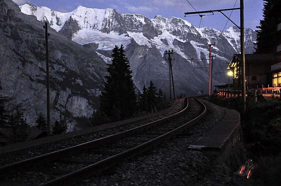 Hotel Edelweiss Superior