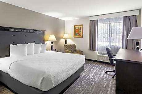 Best Western Saluki Inn