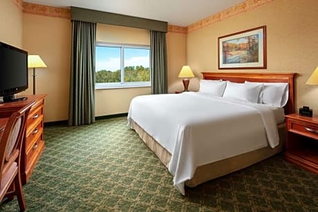 Premium Suite 2 Double Beds (Wellness In-room air purification) NON-REFUNDABLE