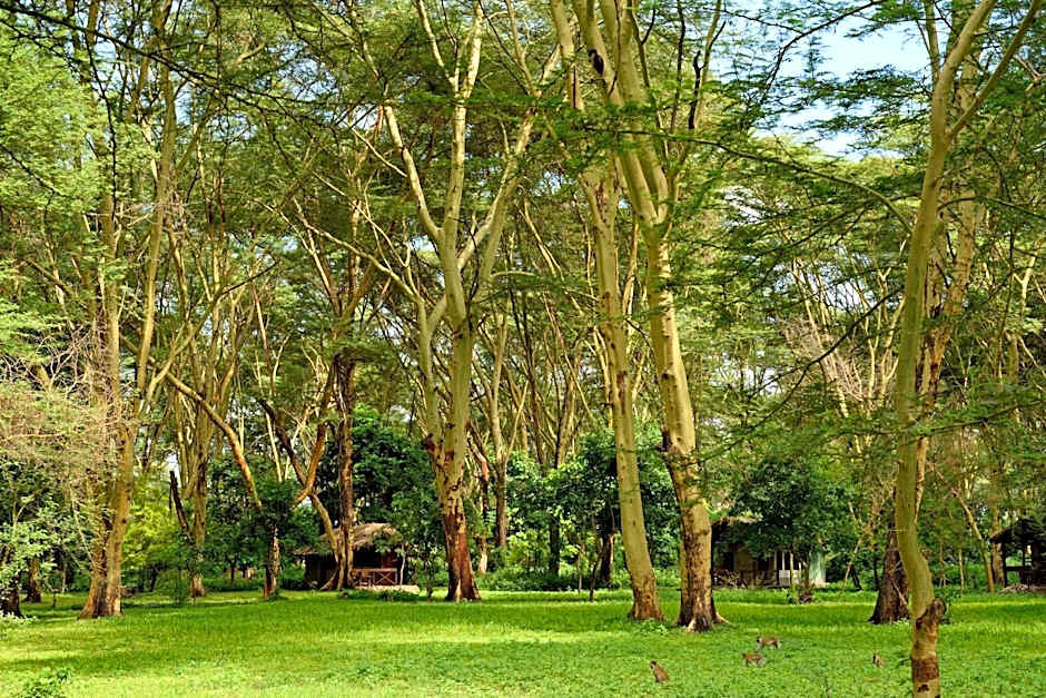 Migunga Tented Camp