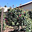 Club Boutique Hotel Cunnamulla