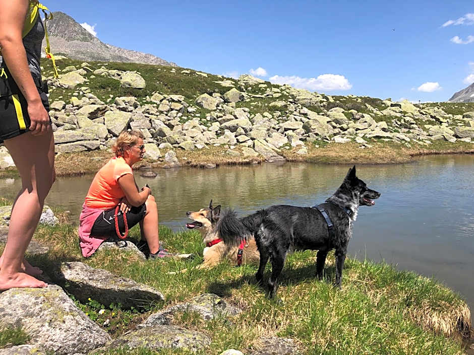 Historic Guesthouse BIRCHER B&B Apartments near Sterzing