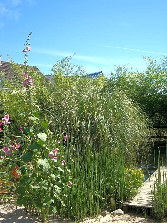 Studio "LA MEDINA", PISCINE jusqu'au 15 septembre, JARDIN BOTANIQUE, COMMERCES &MER