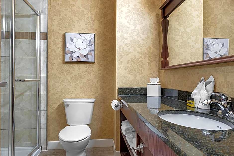 Best Western Plus Fredericton Hotel & Suites