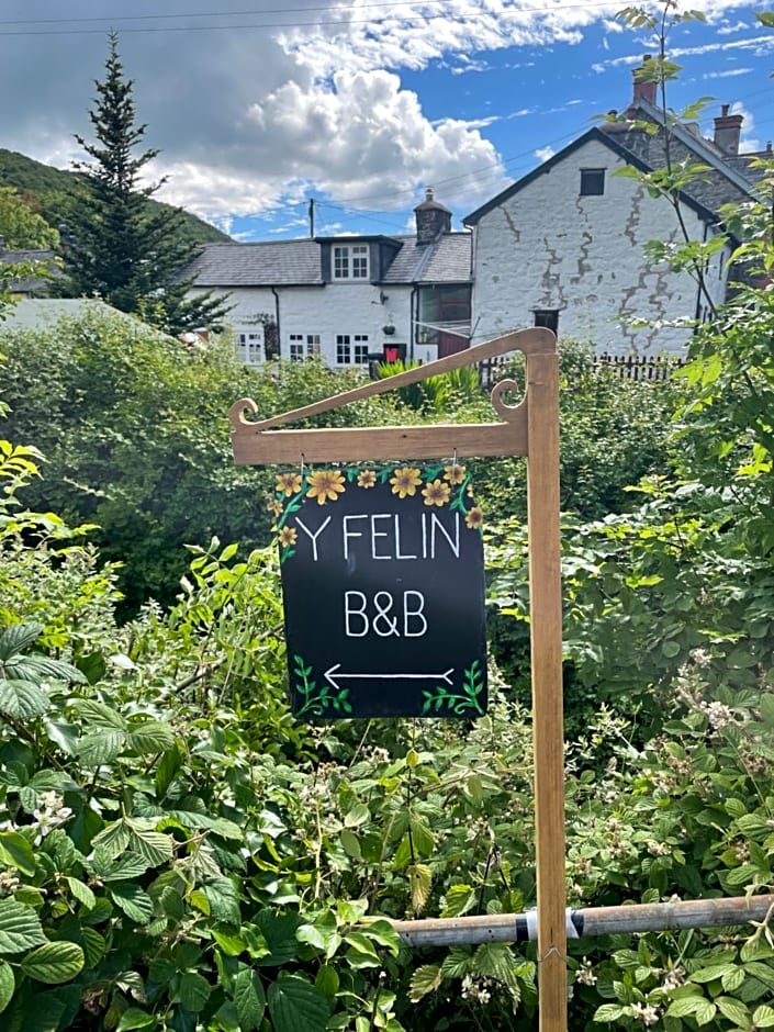 Y Felin Bed and Breakfast and Smallholding