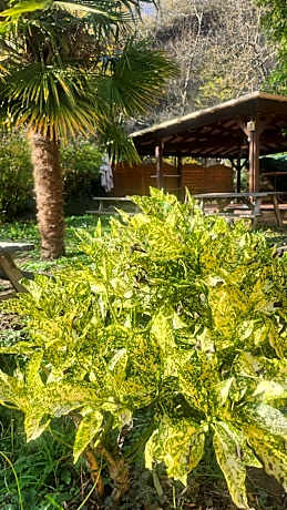 Logis Hôtel La Cascade - Lyon Nord