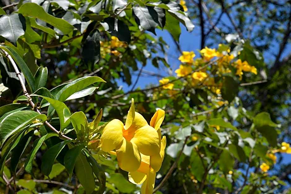 Pousada Sítio Olho D'Água