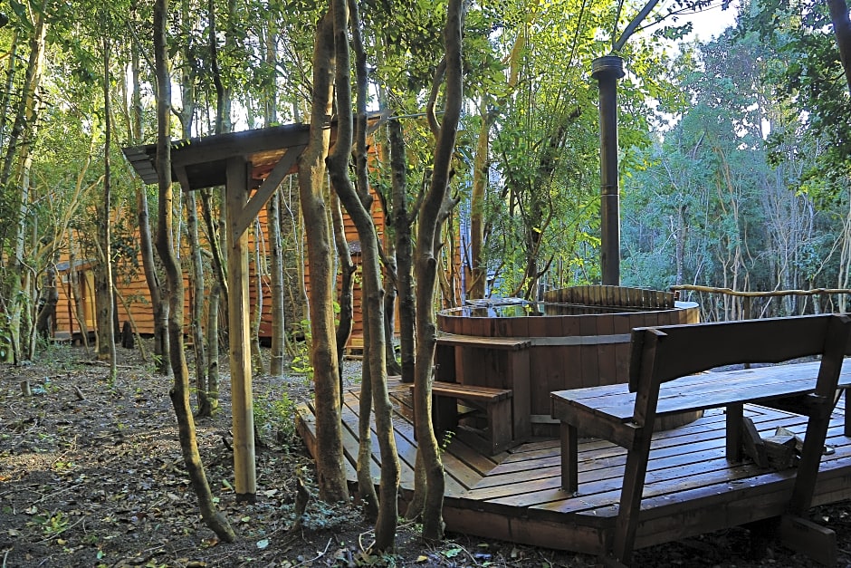 Cabañas Ensenada Bosque Nativo