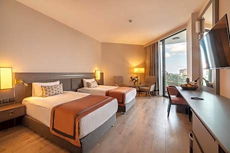 Deluxe Twin Room - Annex