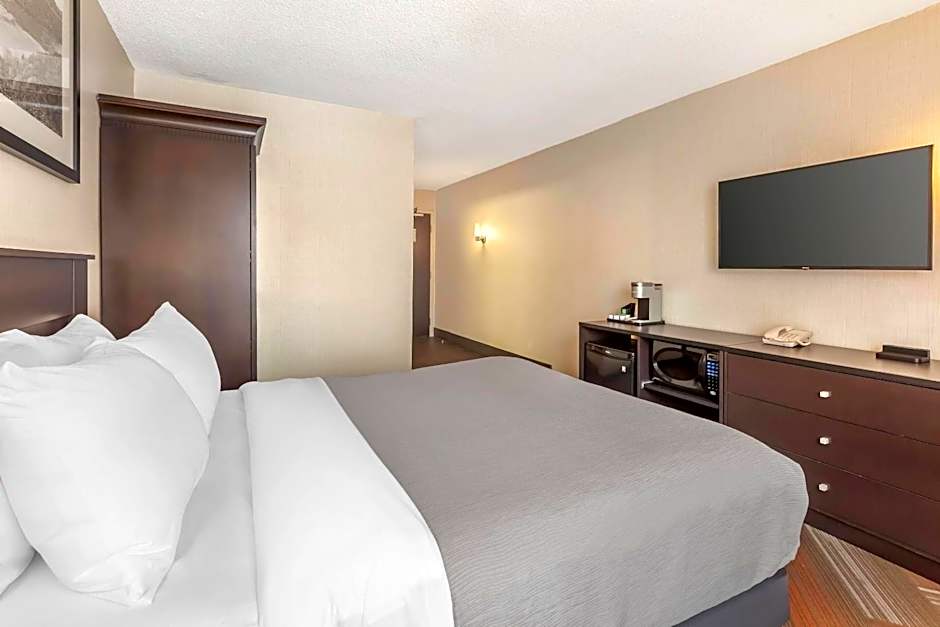 Quality Hotel Burlington